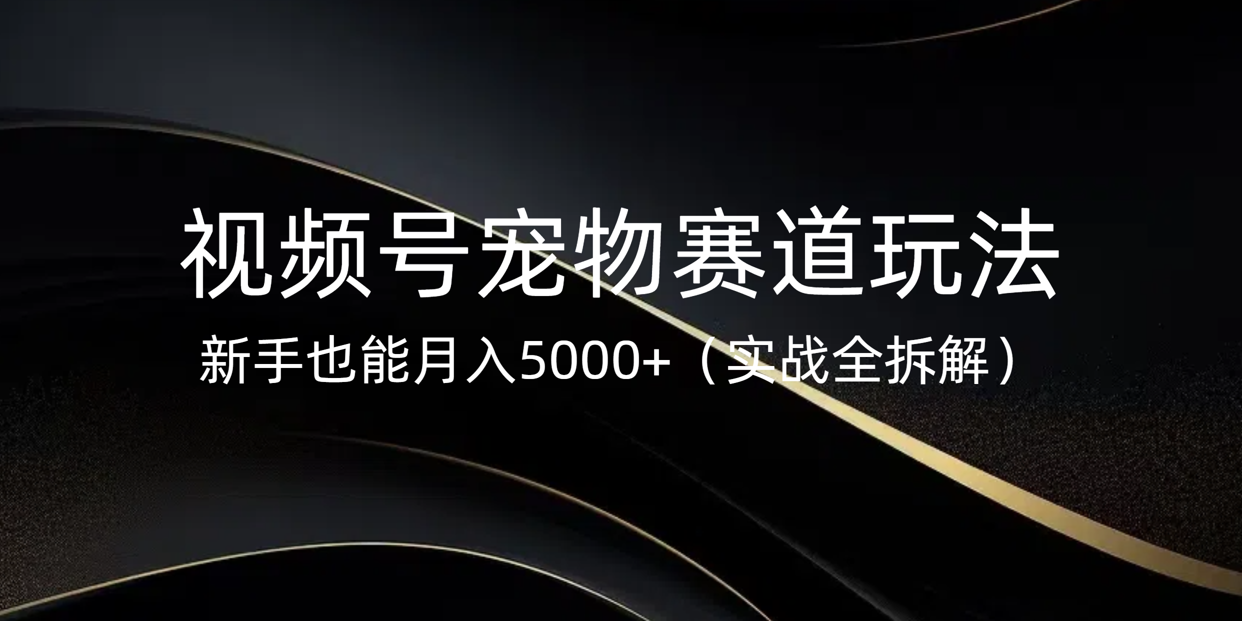 视频号宠物赛道玩法，新手也能月入5000+（实战全拆解）-云峥科技网