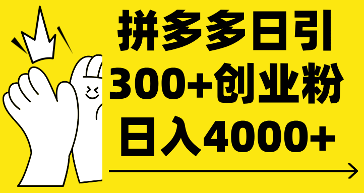 拼多多日引300+创业粉 日入4000+-云峥科技网