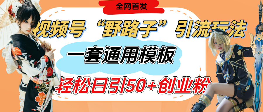 视频号“野路子”玩法，评论区疯狂截流，一套模板单日单号引流50+创业粉-云峥科技网