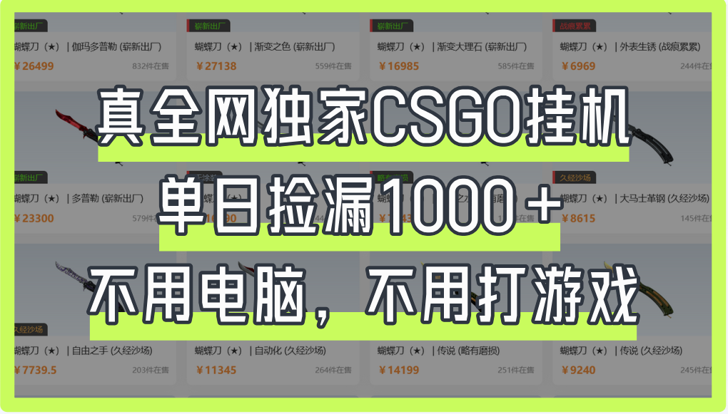 真全网独家CSGO挂机，单日捡漏1000+-云峥科技网