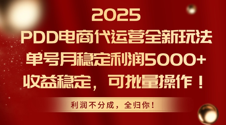 2025 PDD电商代运营全新玩法，单号月稳定利润5000+，收益稳定，可批量操作！-云峥科技网
