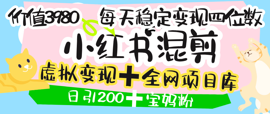 价值3980的小红书混剪， 虚拟变现 ＋全网项目库 ， 日引200+宝妈创业粉，每天稳定四位数变现-云峥科技网