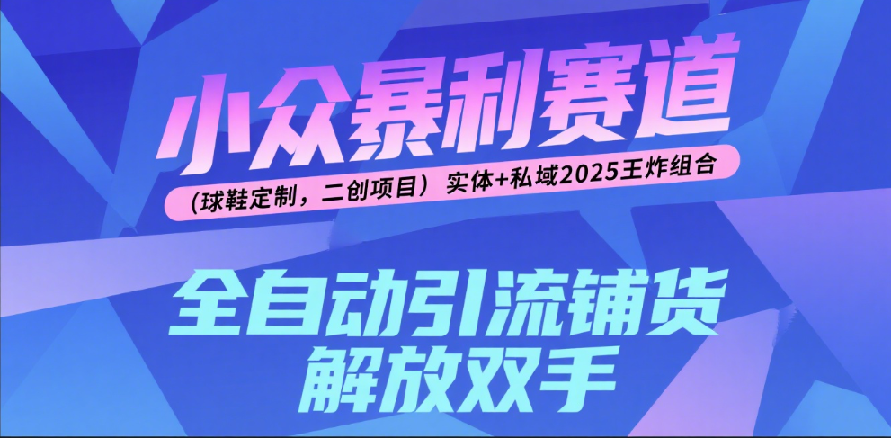 楠—小众暴利赛道（球鞋定制，二创项目）实体+私域2025王炸组合-云峥科技网