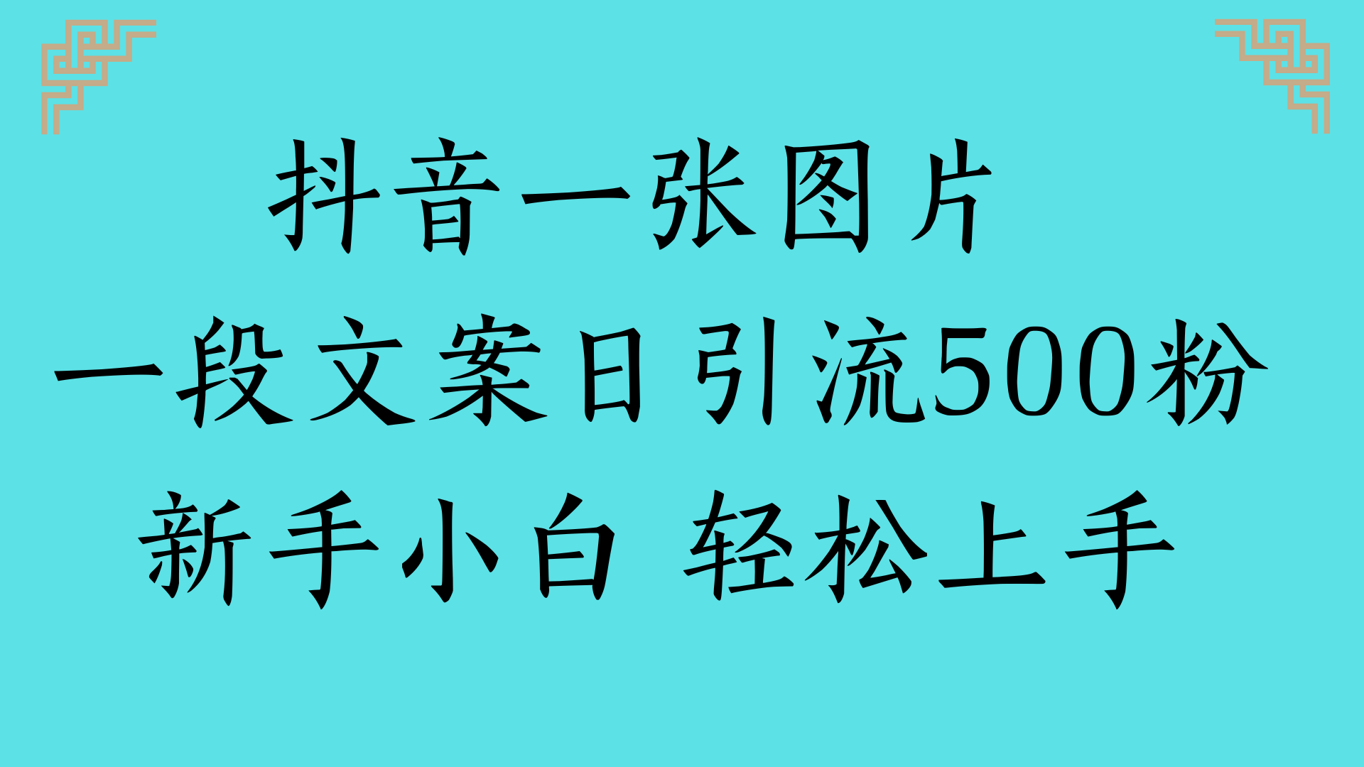 抖音一张图片 一段文案日引流500粉新手小白 轻松上手-云峥科技网