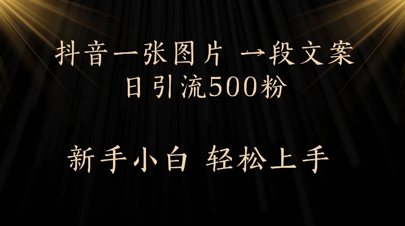 抖音一张图片，一段文案日引流500粉，新手小白 轻松上手-云峥科技网