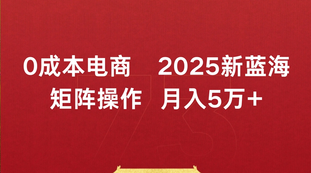 0成本电商2025新蓝海矩阵操作 月入5万+-云峥科技网