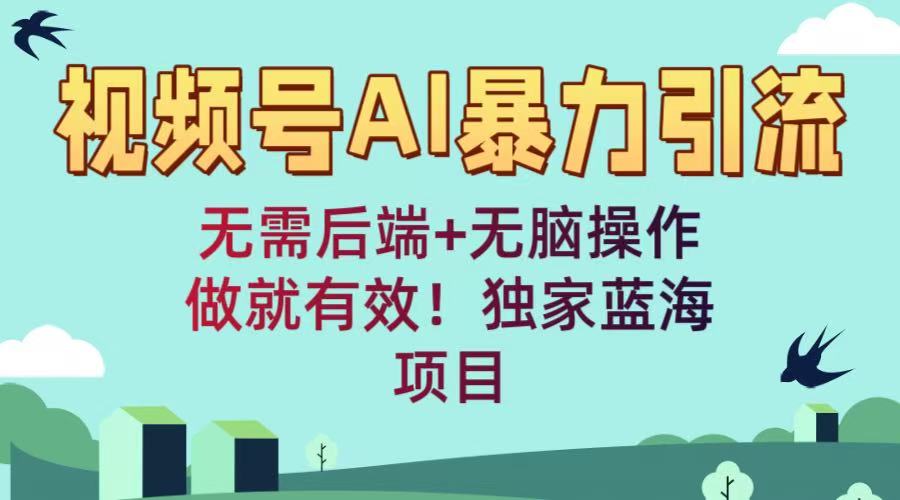 视频号AI暴力引流：无需后端+无脑操作，做就有效！独家蓝海项目-云峥科技网