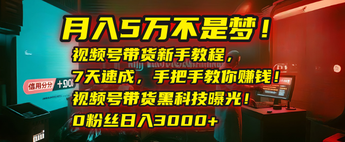 月入5万不是梦！视频号带货新手教程，7天速成，手把手教你赚钱！视频号带货黑科技曝光！0粉丝日入3000+-云峥科技网