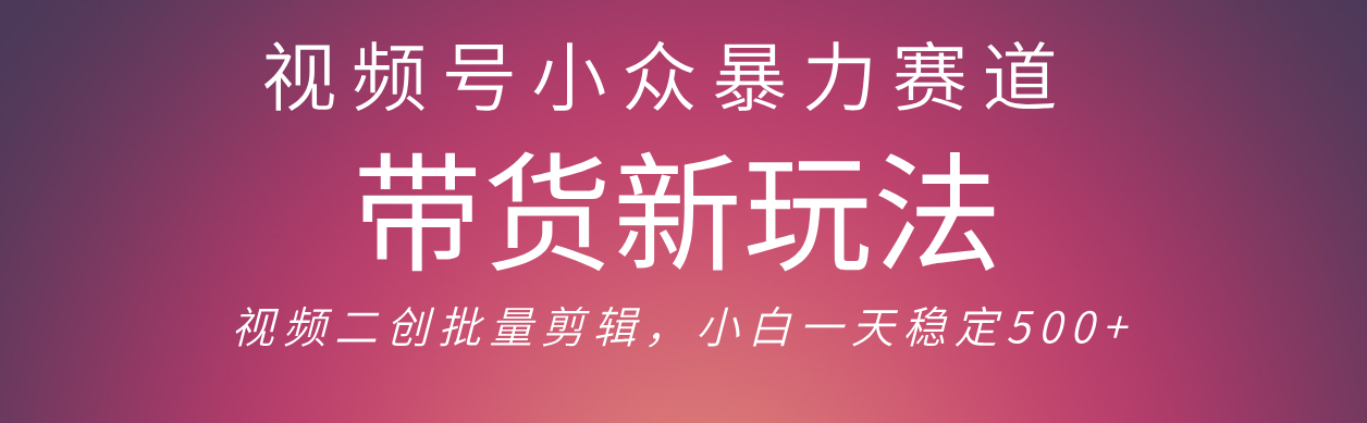 视频号小众暴力赛道，最新带货玩法 小白也能轻松日入500+ 保姆及教程-云峥科技网