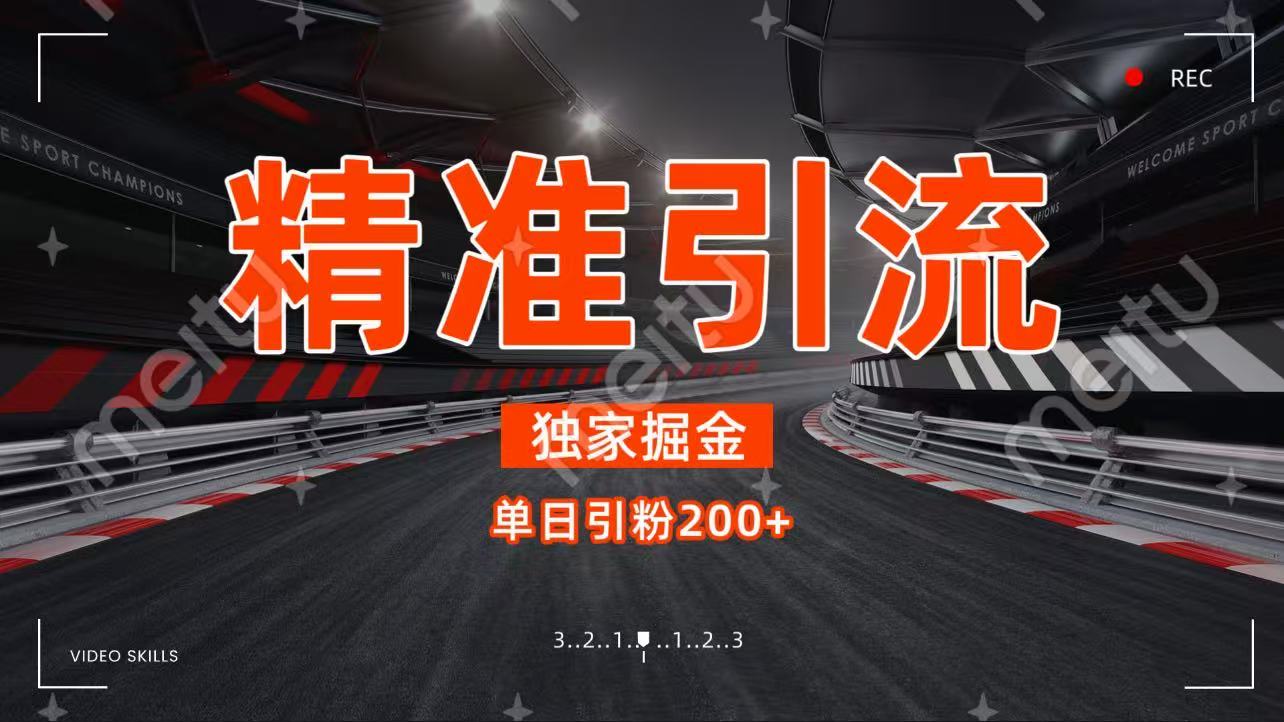 独家野路子精准引流 每日200+-云峥科技网