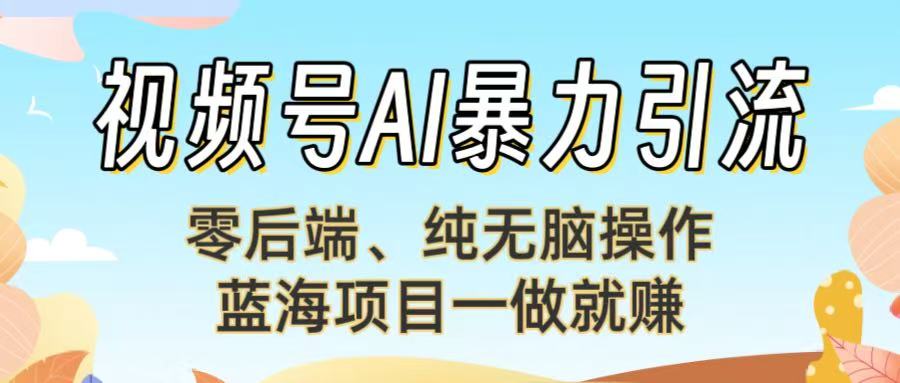 视频号AI暴力引流：零后端、纯无脑操作，蓝海项目一做就赚！【下面那个链接失效了】-云峥科技网