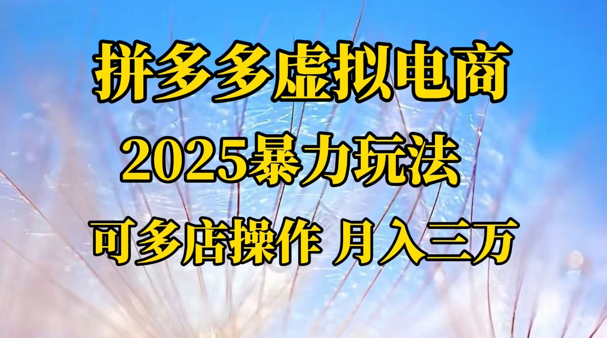 拼多多虚拟电商，不囤货不垫资的虚拟电商-云峥科技网