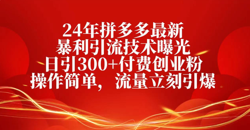25年拼多多最新暴利引流技术曝光、日引300+付费创业粉操作简单，流量立刻引爆-云峥科技网