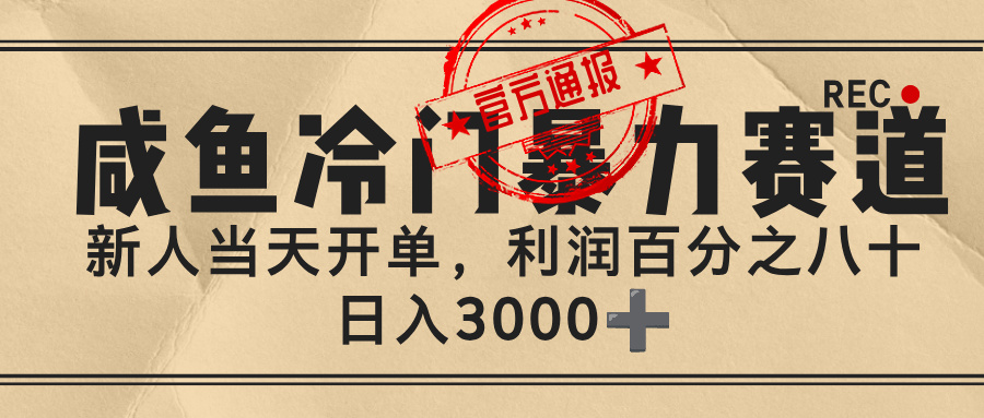 闲鱼，冷门暴力赛道，一单 80%利润，新人轻松日入 3000+-云峥科技网