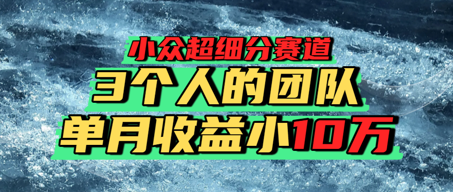 小众超细分赛道，一年百万利润的盘子！-云峥科技网