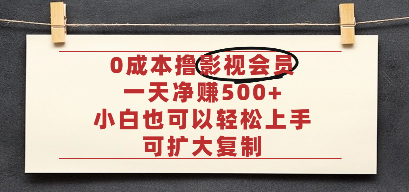 亲测，0成本可批量操作，靠卖影视会员实测月入30000+-云峥科技网