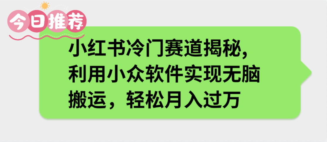 小红书冷门赛道揭秘,利用小众软件实现无脑搬运，轻松月入过万-云峥科技网