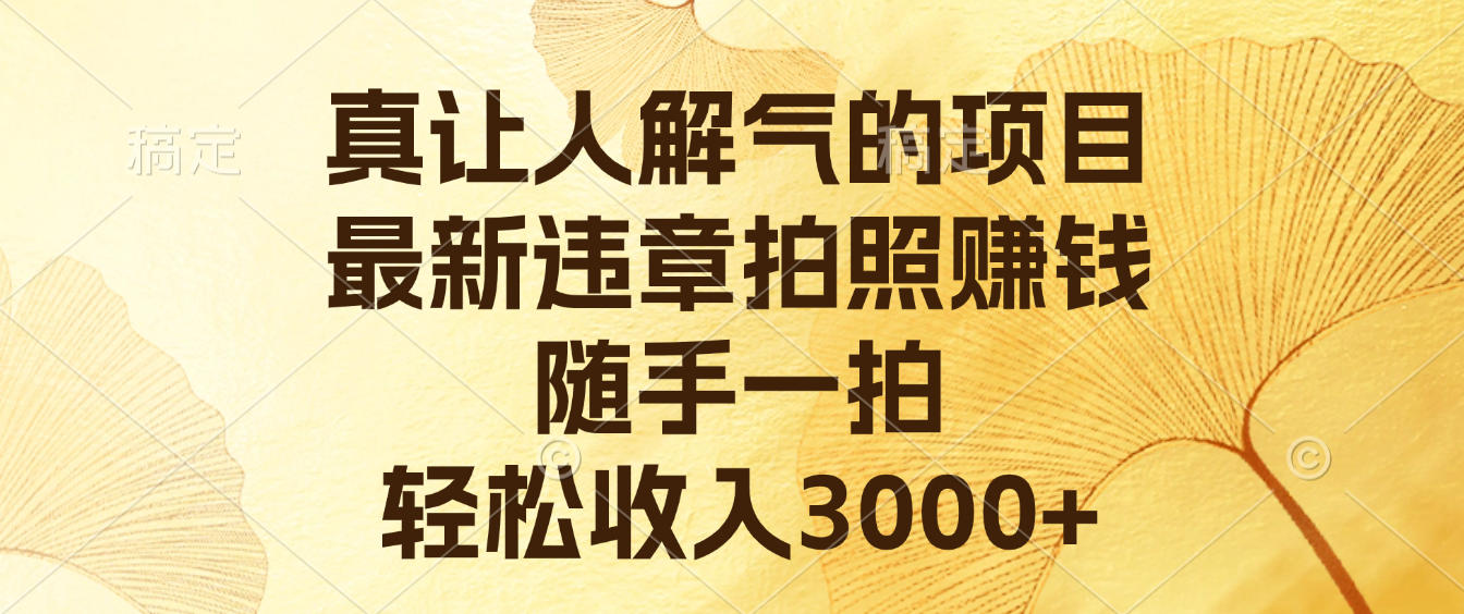 真让人解气的项目，最新违章拍照赚钱，随手一拍，轻松收入3000+-云峥科技网