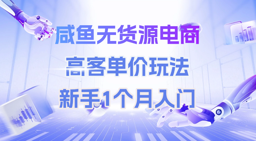 咸鱼无货源电商，高客单价玩法，新手1个月入门-云峥科技网